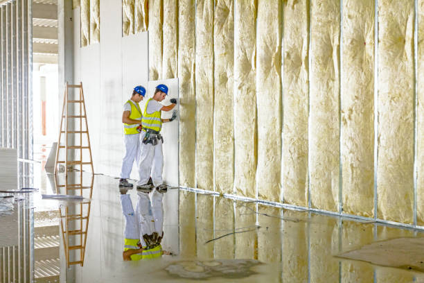 Best Fiberglass Insulation in Ithaca, NY